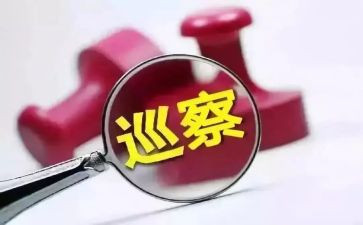 巡察村工作总结模板8篇