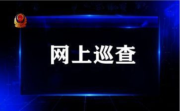 巡查工作总结范文8篇