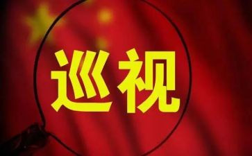 2023巡视工作总结6篇