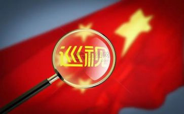 选巡视工作总结7篇
