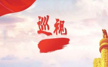 报巡视组工作报告6篇