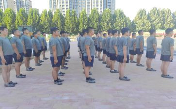 培训学校招教师工作总结5篇