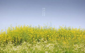 人叙事作文400字6篇