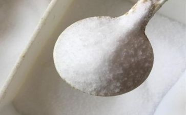 《奶蜜盐》读后感6篇