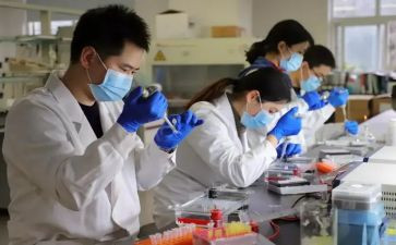 上年度研发工作总结6篇