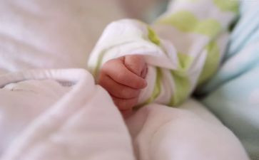 梨宝宝教案模板8篇