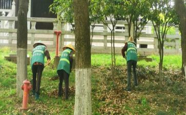 公路养护安全生产工作总结5篇