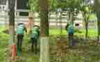 公路养护安全生产工作总结5篇