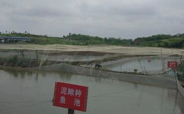 养殖合同8篇