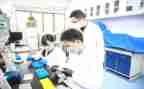教学研究的工作总结6篇