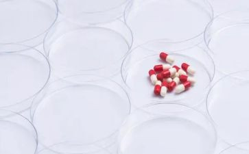 药学类年度工作总结6篇