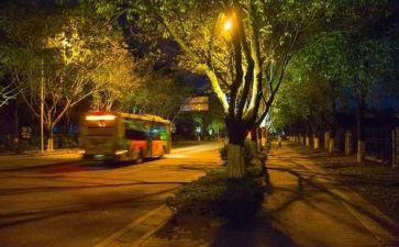 一千零一夜读后感模板6篇