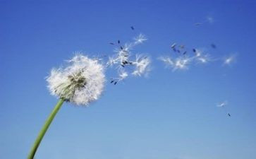 人民的名义观后感心得体会5篇