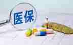 医保科半年度工作总结6篇