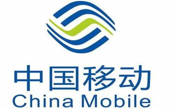 移动公司年度工作总结7篇