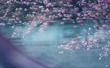 财务工作一季度工作总结5篇