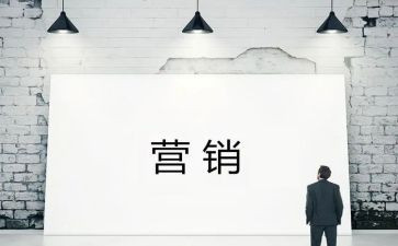 个人年度营销工作总结6篇