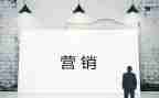 个人年度营销工作总结6篇