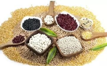 营养员的心得体会7篇