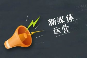 2023营运工作总结5篇
