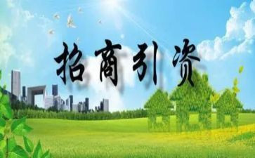 市招商引资工作报告6篇