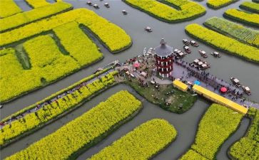 参观游览的作文8篇