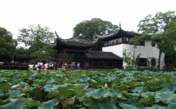 游园活动方案和策划精选8篇