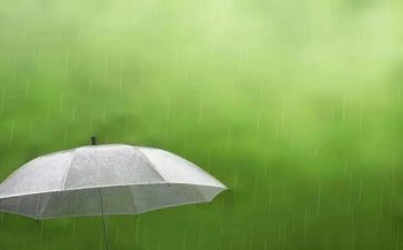 雨的四季教案模板5篇