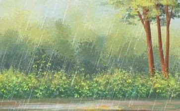中秋节的雨作文初中作文7篇