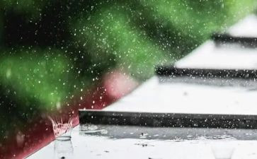 秋天雨的读后感通用5篇