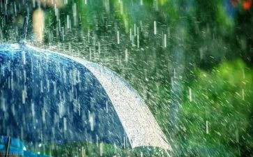 秋天的雨的读后感5篇