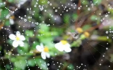 _小英雄雨来教学反思8篇