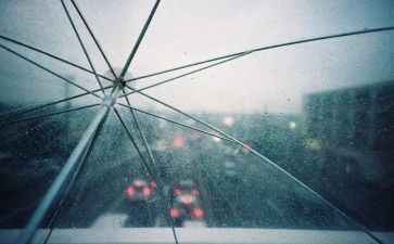 秋天雨的读后感6篇