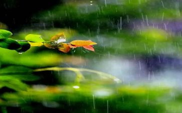安全生产雨工作总结6篇
