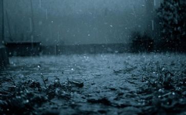 秋天的雨的读后感最新6篇