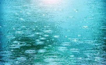 描写雨的作文800字最新5篇