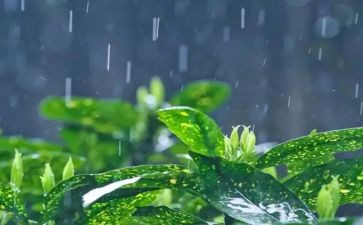 防台风暴雨应急预案6篇