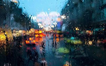 秋天雨的读后感最新5篇