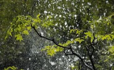 家乡的雨作文推荐6篇