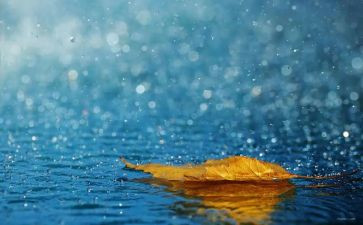 读《小英雄雨来》心得体会400字7篇