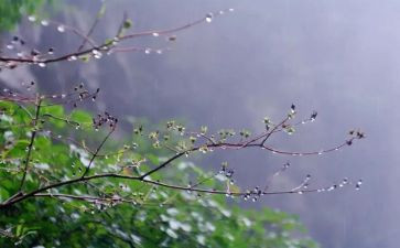 关于《秋雨》的作文7篇