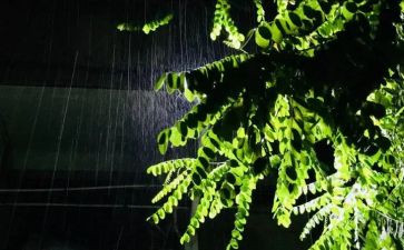 余秋雨的散文的读后感5篇