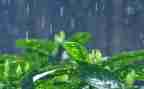 防台风暴雨应急预案6篇