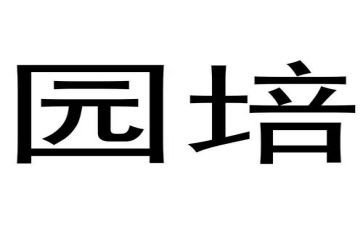 幼儿园培训教师总结7篇