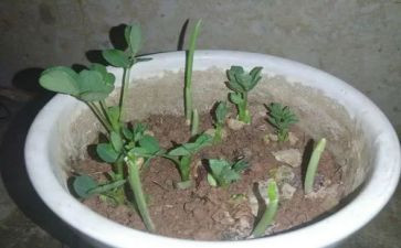 幼儿园培训教育心得体会精选7篇