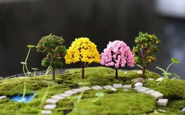 幼儿园艺术班教学计划6篇