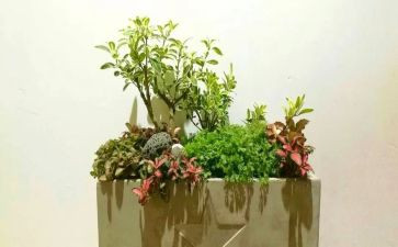 校园艺术节活动策划通用7篇