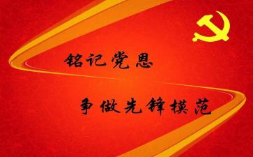预备党员年度个人总结5篇