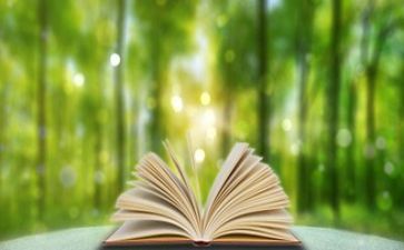 阅读题教学反思6篇