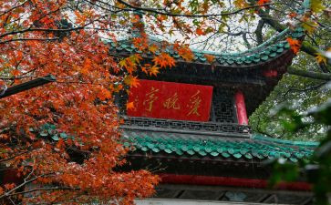 游岳麓山心得体会6篇